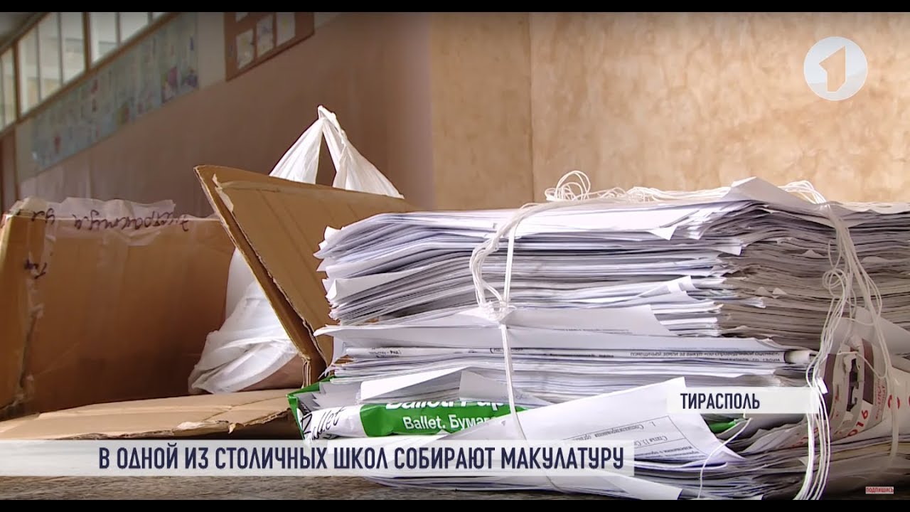 «Бумажный БУМ»! Экологическая акция в столице