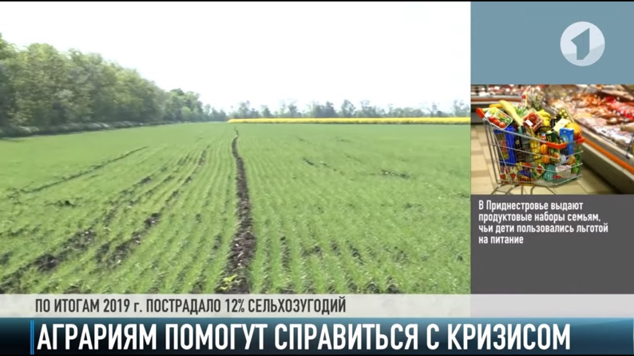 COVID-19 и аномальная погода: что будет с урожаем?