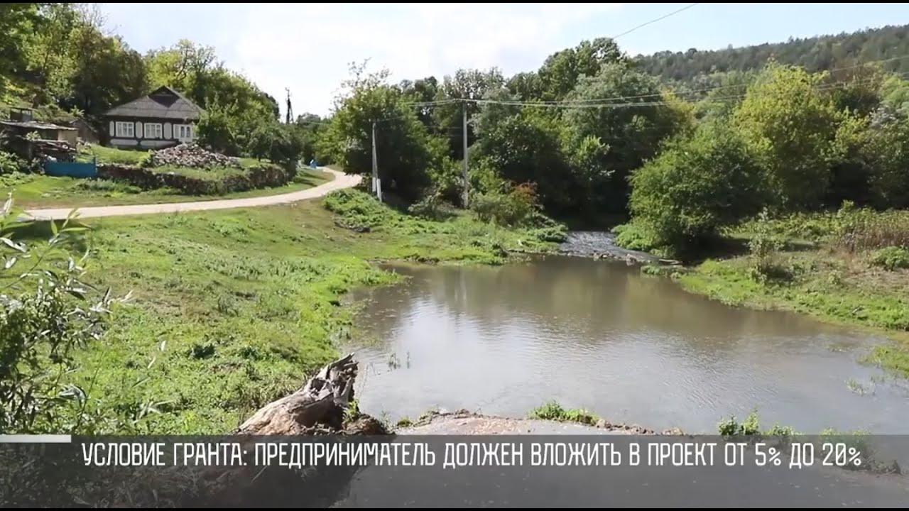 Туристические гранты: всего – 29 заявок