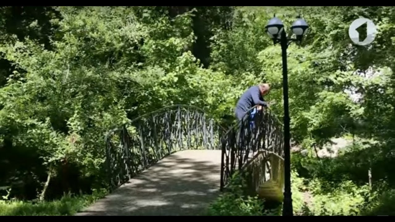 Каменка в гонке за звание самого зелёного города