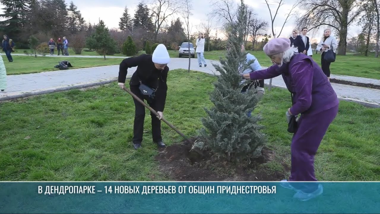 «Аллея дружбы»: национальные общины ПМР посадили 14 деревьев в дендропарке
