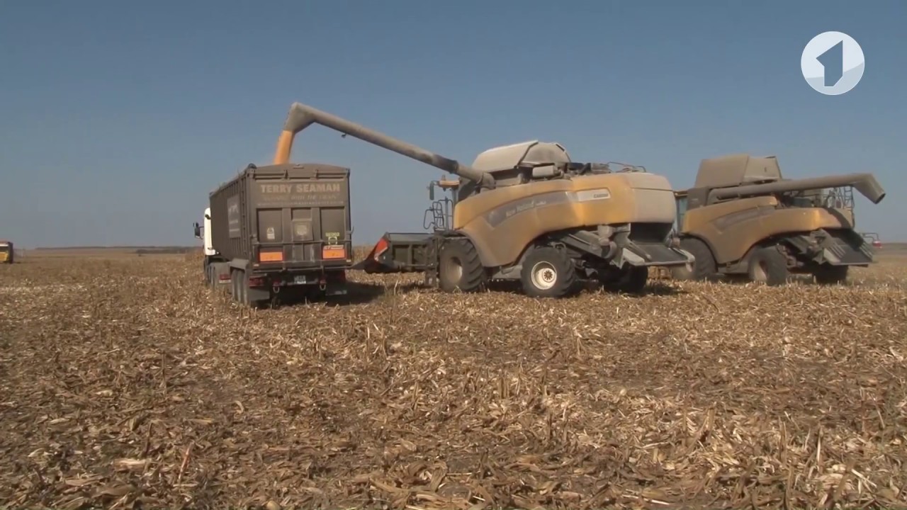 КЭБ. Коротко о Годе экологии, уборке зерновых и благоустройстве