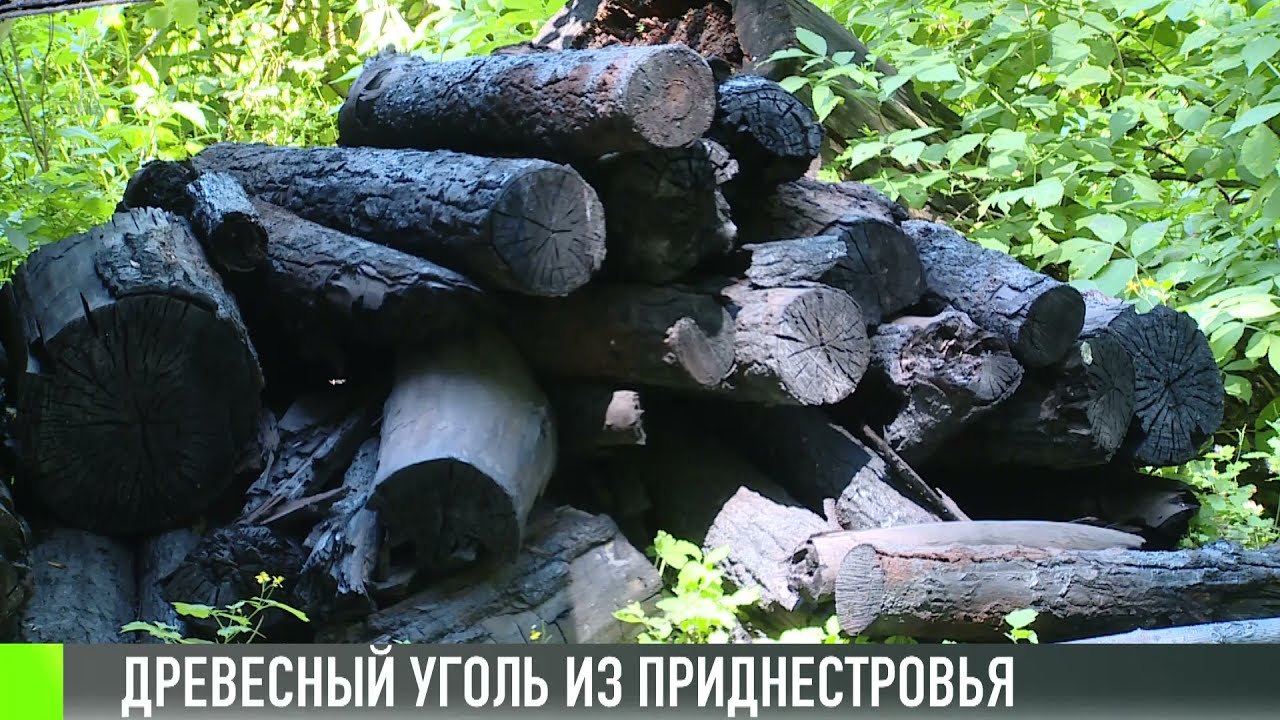 Сделано в Приднестровье: древесный уголь
