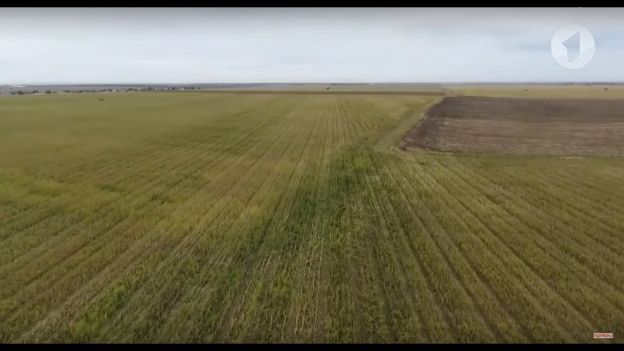 Чёрный передел земли: когда аграриям ждать справедливости?