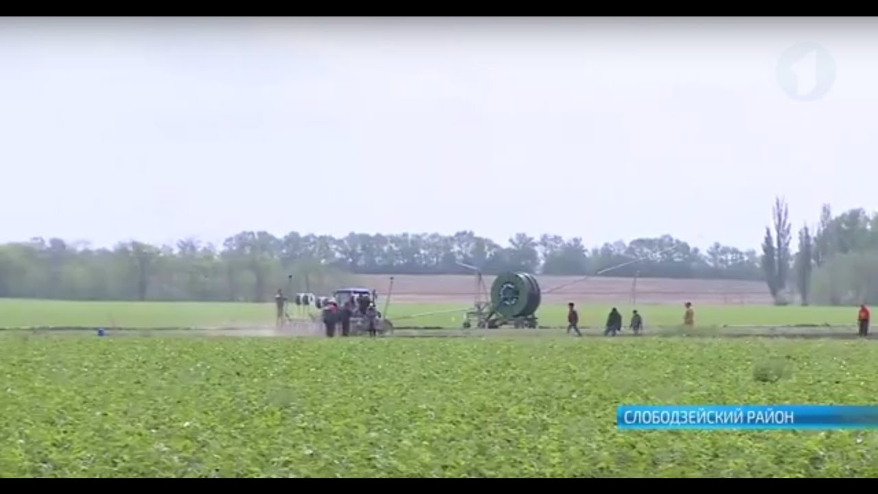 Апрельская битва за урожай