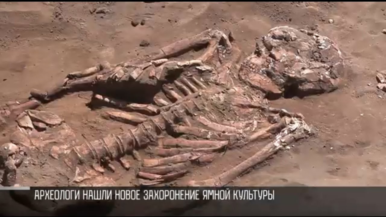 Археологи нашли еще одно захоронение ямной культуры: раскопки продолжаются