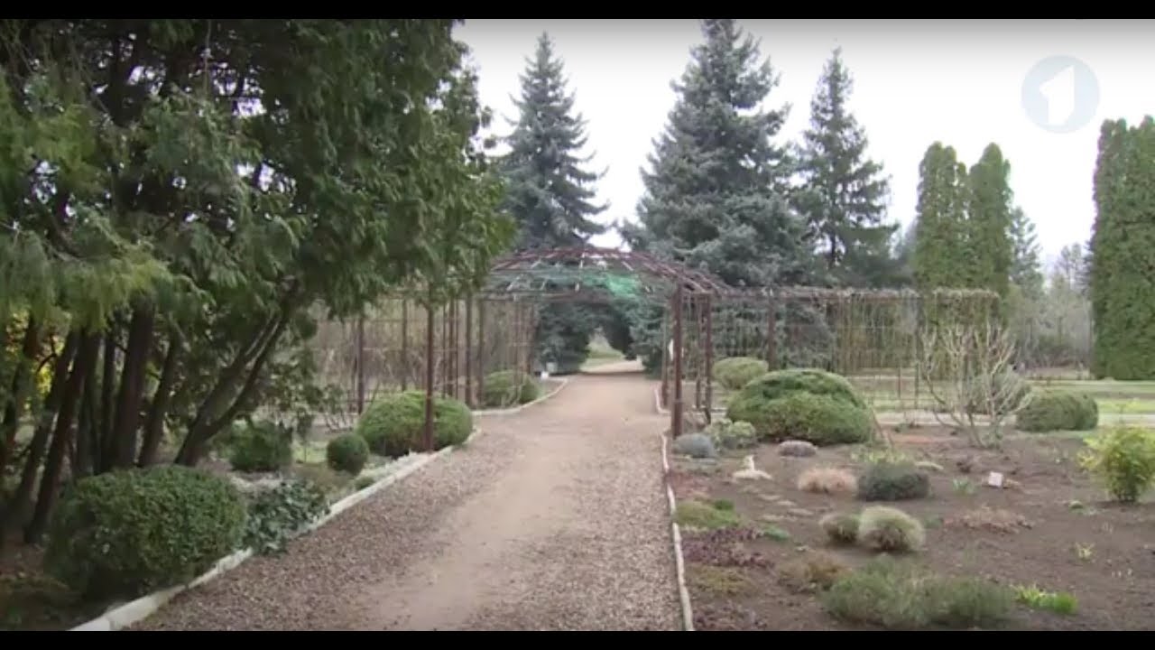 Ботанический сад Тирасполя станет популярнее