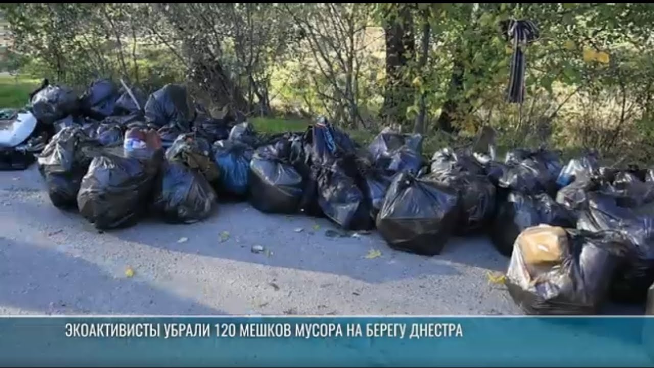 Экоактивисты убрали 120 мешков мусора на берегу Днестра