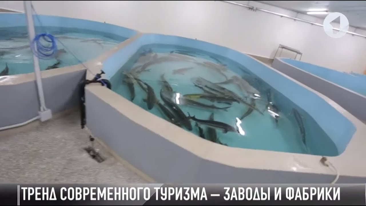 #КЭБ_Итоги. От «Акватира» до ММЗ. Промышленный туризм в Приднестровье