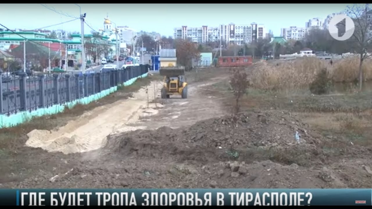 100 деревьев и «тропа здоровья» для Екатерининского парка