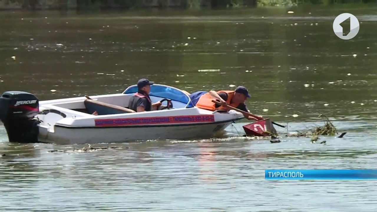 Водолазы на тираспольском пляже
