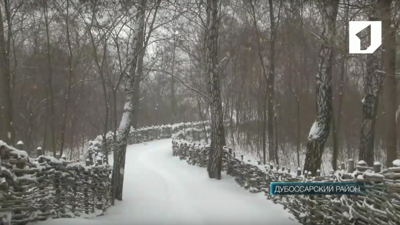 Государственный заповедник «Ягорлык» - жемчужина Приднестровья