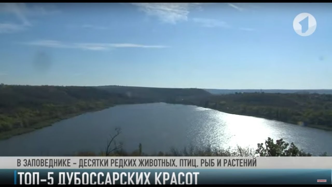 ТОП-5 дубоссарских красот