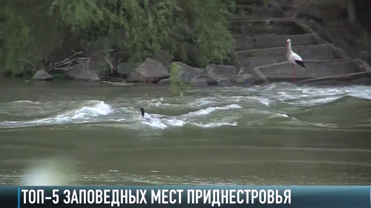 ТОП-5 заповедных мест Приднестровья