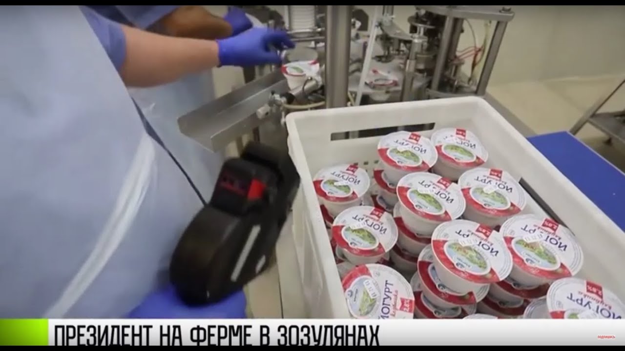 В селе Зозуляны хотят делать мороженое