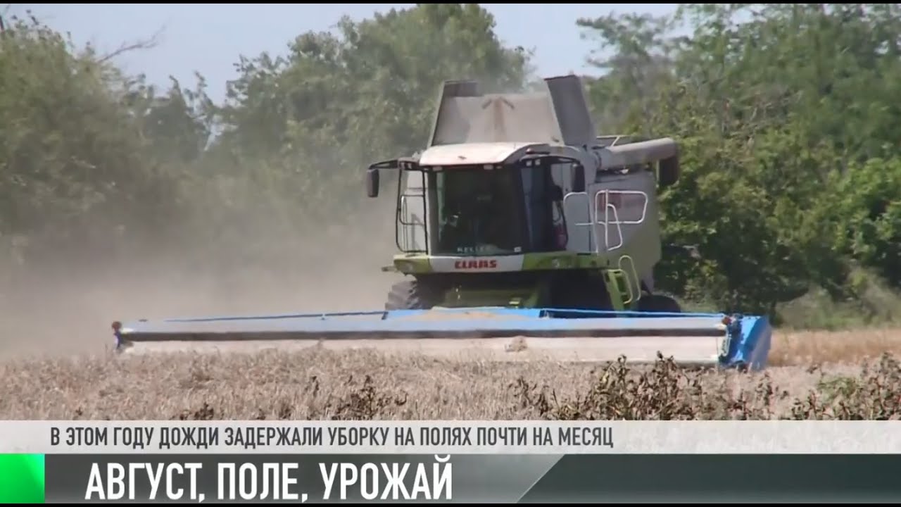 #КЭБ_Итоги. Урожайный август на полях
