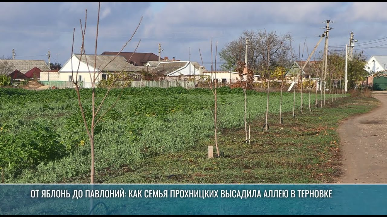 От яблонь до павлоний: как семья Прохницких высадила аллею в Терновке
