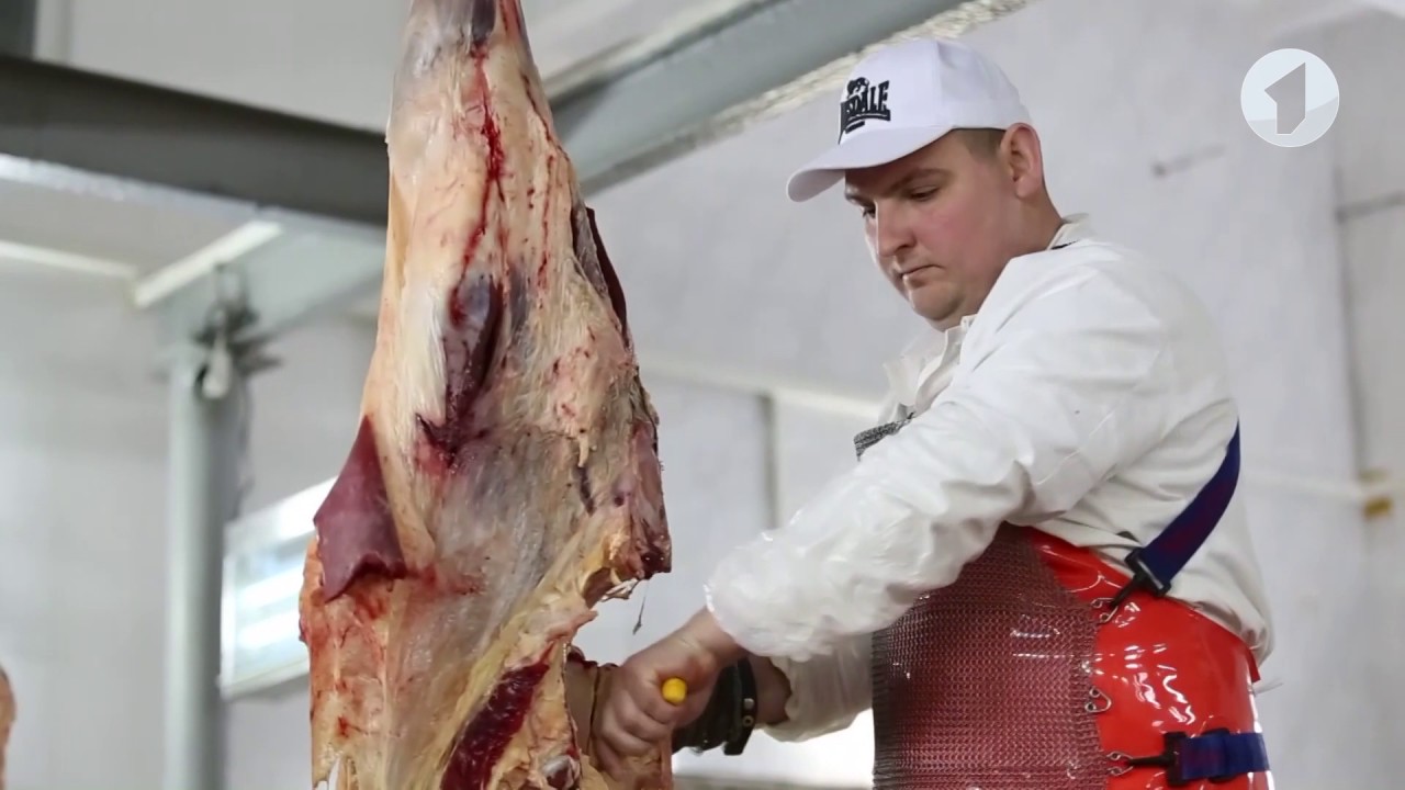 Какие производства предлагается открыть и модернизировать в Приднестровье?