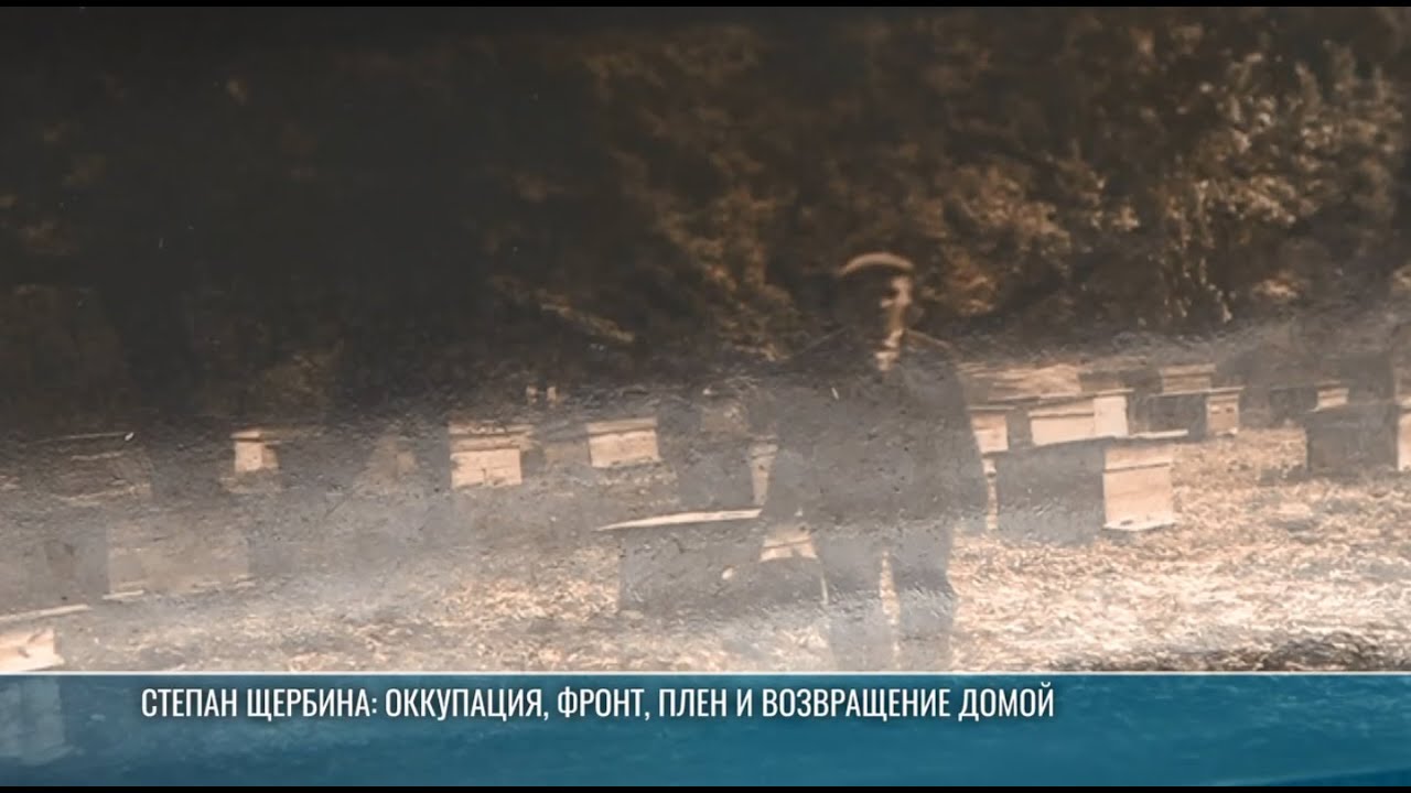 Вернулся вопреки всему: история Степана Щербины
