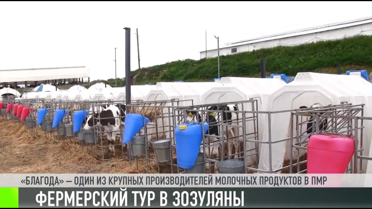 Фермерский тур в Зозуляны