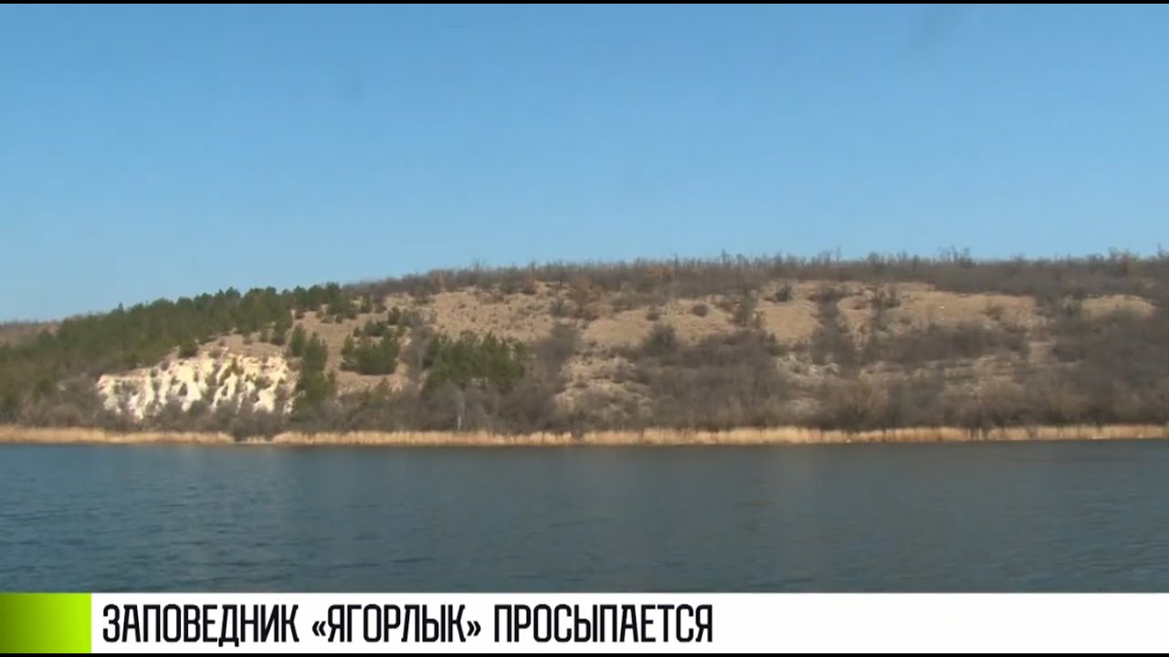 Заповедник «Ягорлык» просыпается