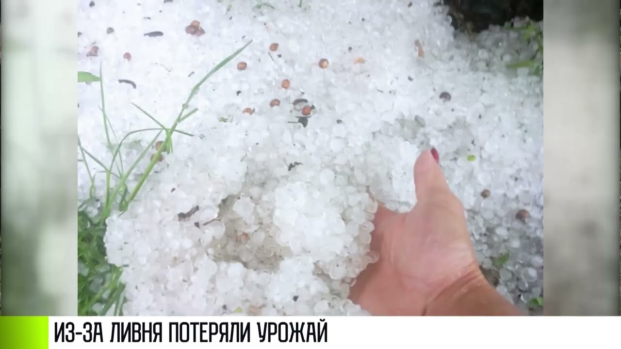 Затопленные огороды и школа: ливень и град в Каменке