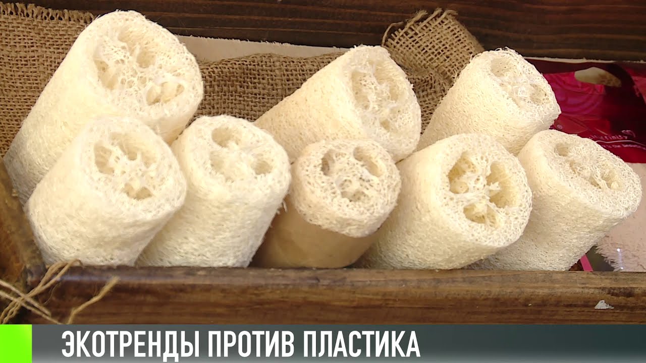 Экотренды: как сделать мир чище?