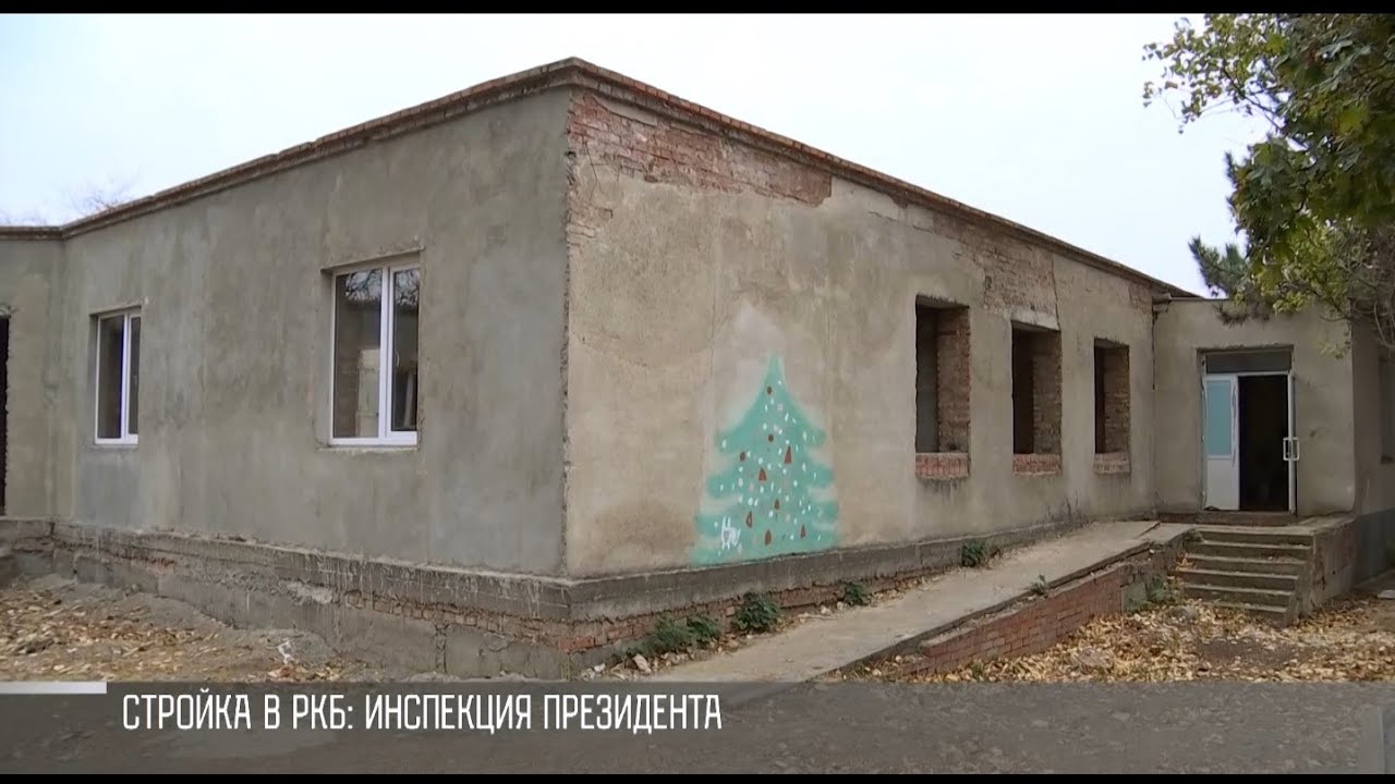 РКБ, «скорая», роддом: инспекция Президента