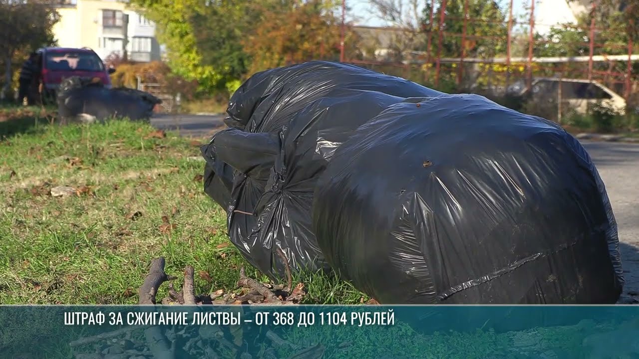 Рейд с дроном: в Тирасполе следят за утилизацией листвы