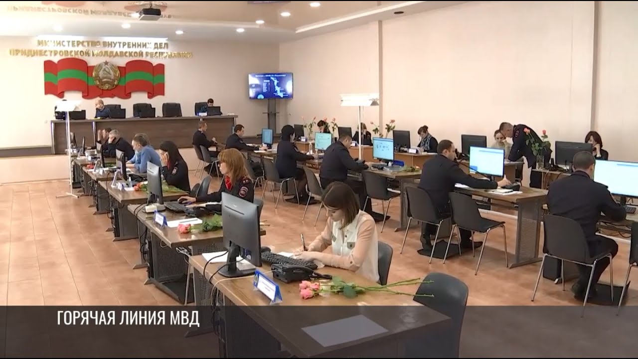 От горячей линии до бесплатных дров: решения Совета безопасности