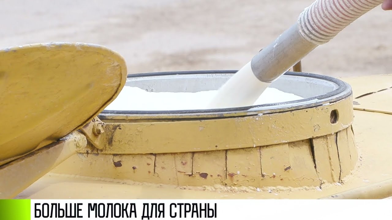 Молоко из Терновки: скоро больше