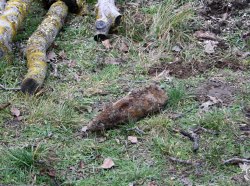 Фото из архива пресс-службы МВД ПМР