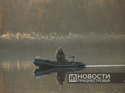 Фото из архива ИА «Новости Приднестровья»