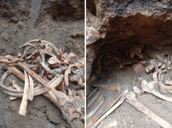 Фото: Госадминистрация г. Тирасполь и г. Днестровск