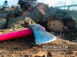 Фото из архива информационного агентства "Новости Приднестровья"