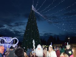 Фото: grig-admin.idknet.com