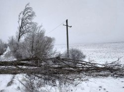 Фото: ГУпЧС МВД ПМР