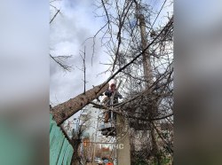 Фото: пресс-служба ГУпЧС МВД ПМР