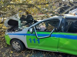 Фото: пресс-служба Управления ГАИ МВД ПМР