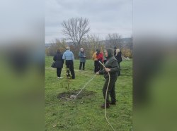 Фото: t.me/bendery_tv