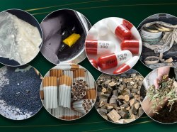 Фото: пресс-служба ГТК