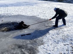 Фото: пресс-служба ГУпЧС МВД ПМР