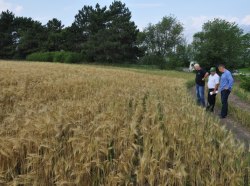 Фото: ecology-pmr.org