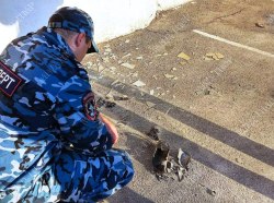 Теракт Первой Школе Фото