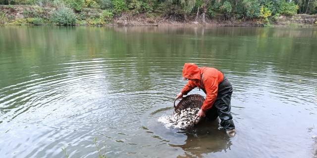 Фото: t.me/mshipr