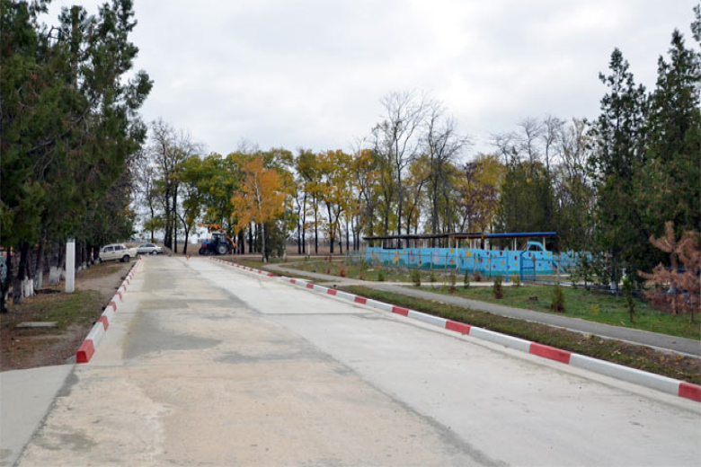 C.Красный Виноградарь.