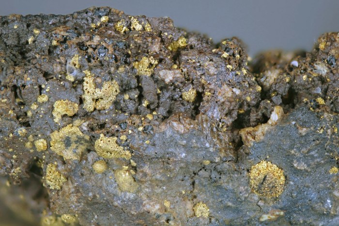 На Украине обнаружили промышленные запасы золота