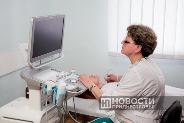 Приднестровские медицинские работники отмечают профессиональный праздник