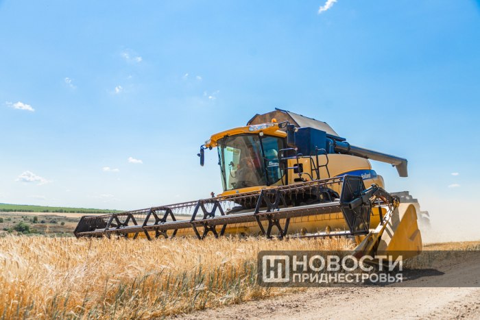 Уборка зерновых в Приднестровье почти завершена