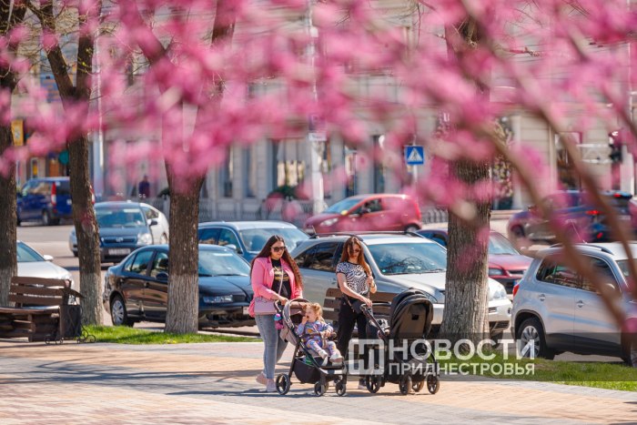 Теплая погода ожидает приднестровцев в выходные